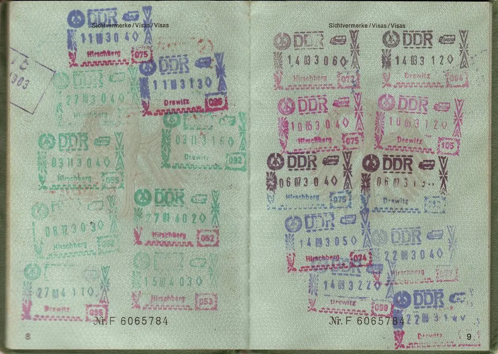What Are Non-Immigrant Visas?