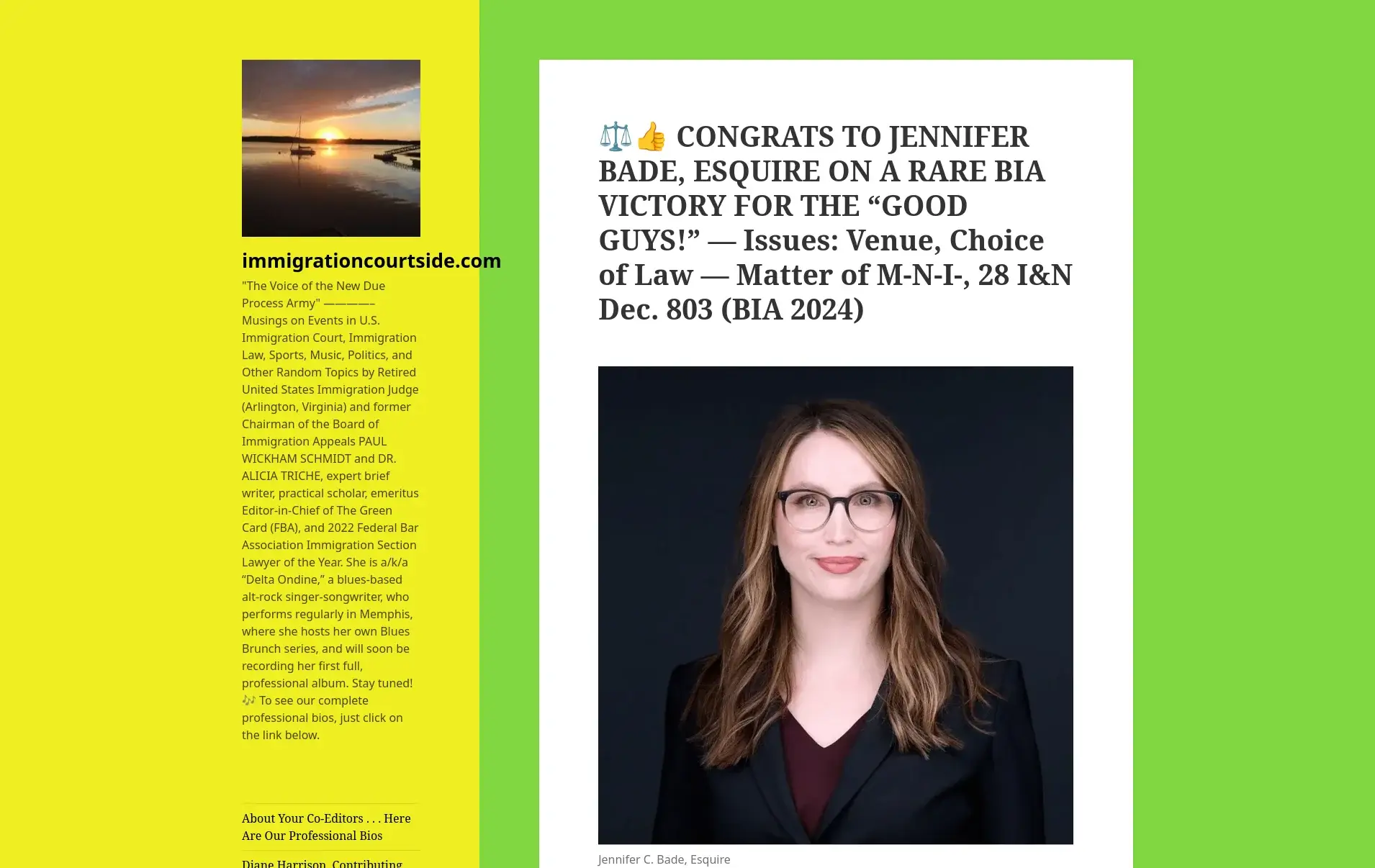Matter of M-N-I-, 28 I&N Dec. 803 (BIA 2024)
